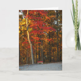 De Kleuren van de herfst helderen Om het even Kaart