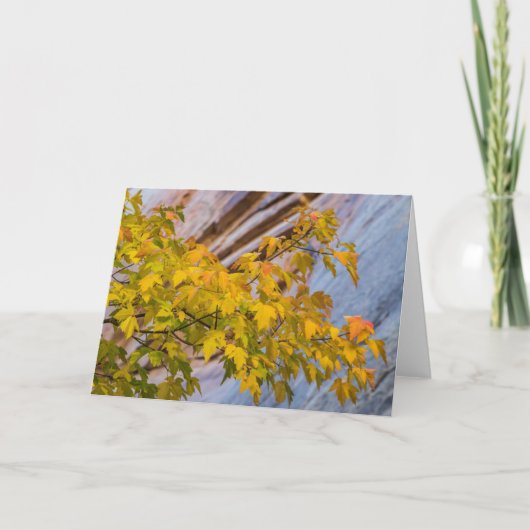 De Kleuren van de herfst Kaart (Voorkant)