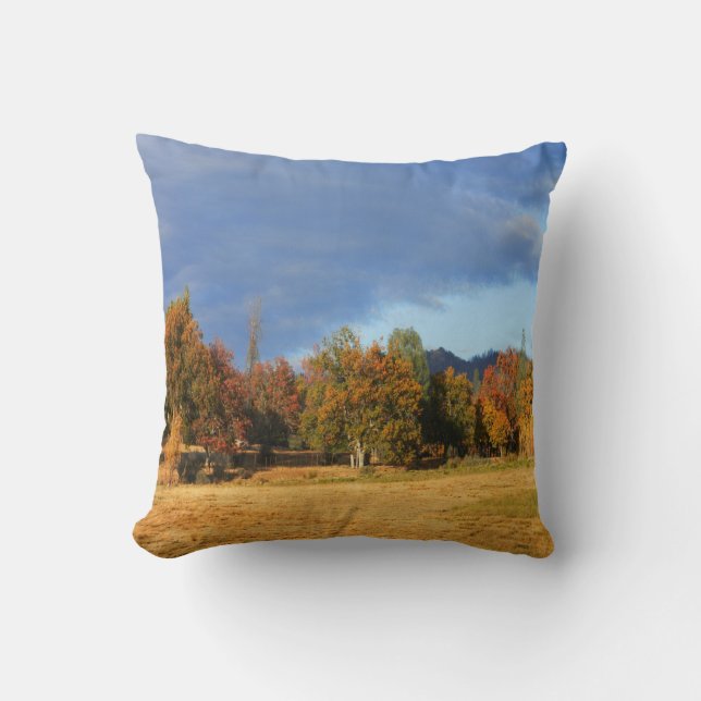 De kleuren van de Herfst... Kussen (Voorkant)