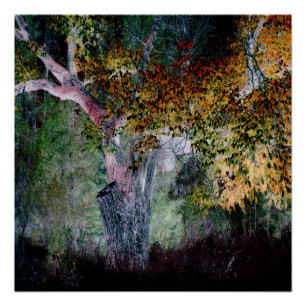 De kleuren van de Herfst.... Perfect Poster