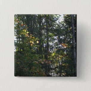 De kleuren van de herfstbomen vierkante button 5,1 cm