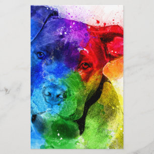 De kleuren van de Liefde zijn een Pitbull