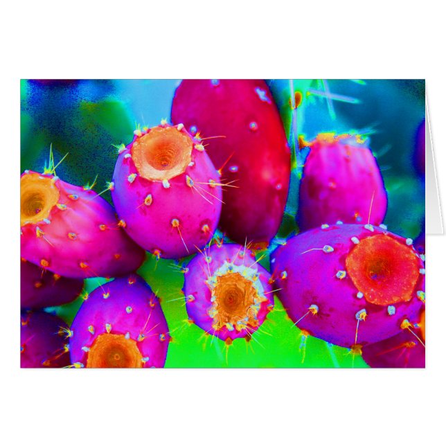 De kleuren van Prickly Pears (Voorkant Horizontaal)
