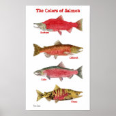 De kleuren van zalm poster (Voorkant)