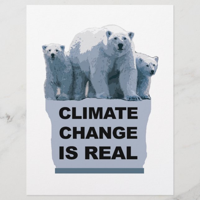 DE KLIMAATVERANDERING IS ECHT (Voorkant)