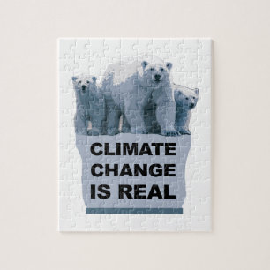 DE KLIMAATVERANDERING IS ECHT LEGPUZZEL