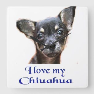 De klok van Chihuahua