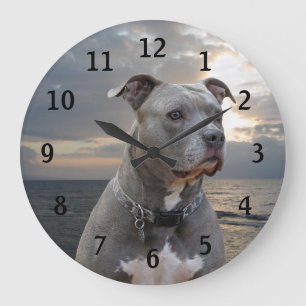 De Klok van de Muur van Pitbull van de beschermer