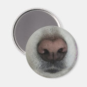 De knop Dog Nose #2 magneet (Voorkant / Achterkant)