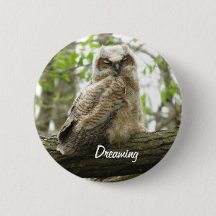 De knop Great Horned Owl Newborn Ronde Button 5,7 Cm