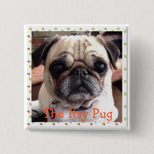 De knop Itsy Pug Vierkante Button 5,1 Cm