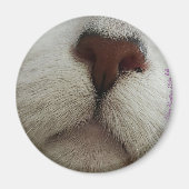 De knop Kat Knop #1 magneet (Voorkant)