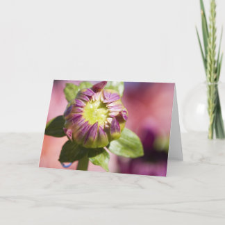 De knopwenskaart van de dahlia kaart