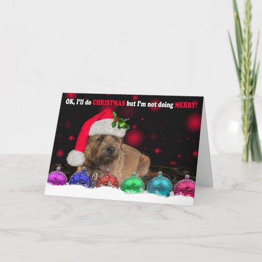 De knorrige Hond die van Terrier van de Grens een Feestdagen Kaart (Voorkant)