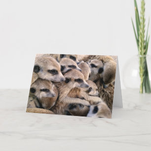 De knuffels van de vakantie feestdagen kaart