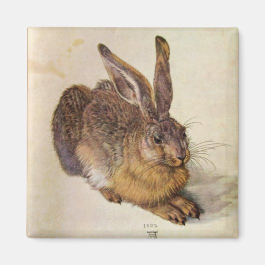 DE KOBBIT ( Jonge Hare ) Magneet (Voorkant)