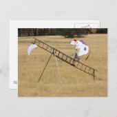 De koe springt over de maan briefkaart (Voorkant / Achterkant)