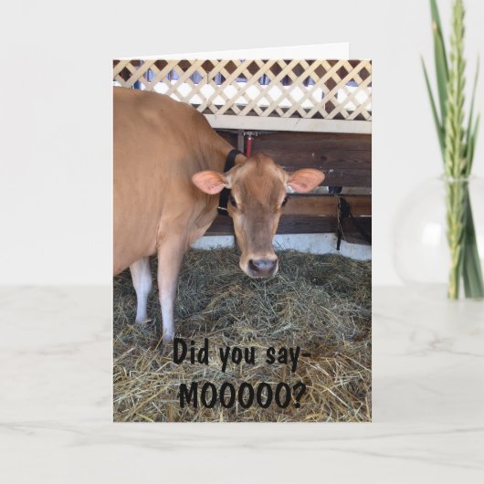 DE KOE VRAAGT: "HEEFT U ZEGY MOO GEZEGD?"/LAAT U,  KAART (Voorkant)