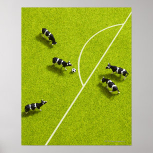 De koeien die voetbal spelen poster