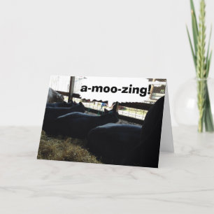 DE koeien ZEGGEN A-MOO-SING DAT U OVER DE HILL BEN Kaart
