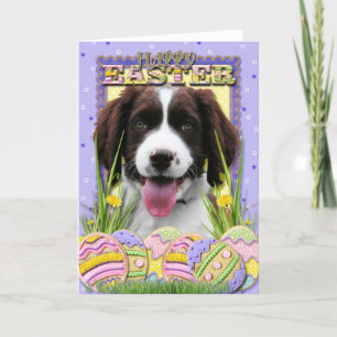 De Koekjes van het Paasei - het Engelse Spaniel Feestdagen Kaart