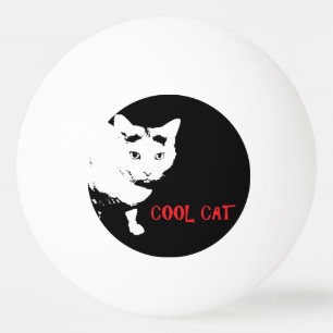 DE KOELE BAL VAN DE PINGPONG VAN DE KAT PINGPONGBALLEN