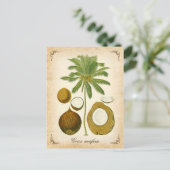 De kokospalm -  illustratie briefkaart (Staand voorkant)