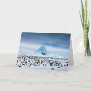 De Kolonie van de Pinguïn van de keizer Kaart