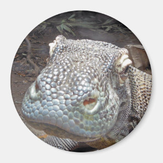 De Komodo look Magneet
