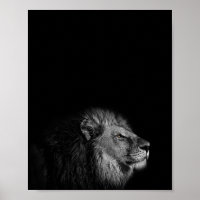 De Koning, Leeuw, zwarte en witte fotografie
