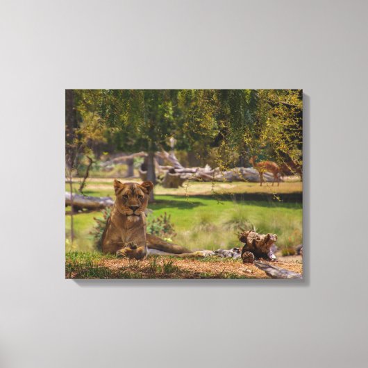 De koningin canvas afdruk (Voorkant)