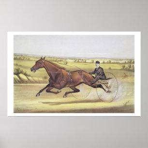 De koningin van de Turf, Maud S, gedreven door W.W Poster