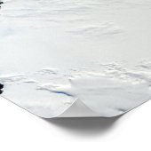 De koningin van Mary aan de kust van Antarctica Poster (Hoek)