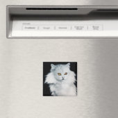 DE KONINGIN VAN WITTE KATTEN MAGNEET (Insitu (Vaatwasser))