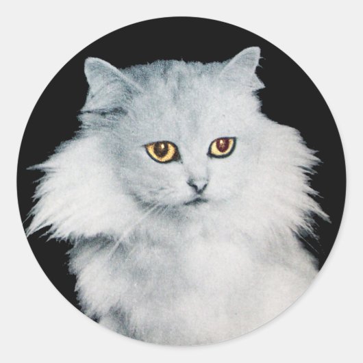 DE KONINGIN VAN WITTE KATTEN RONDE STICKER (Voorkant)
