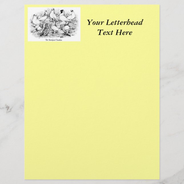 De kortharige tuimelduiven (Voorkant)