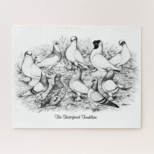 De kortharige tuimelduiven legpuzzel