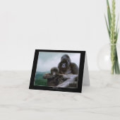 De KOSTBARE kaarten van de Nota van de Gorilla ~ (Voorkant)
