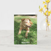 De kostbare Reeks van de Hond:  Marron Kaart (Gele Bloem)