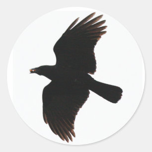 de kraaibbetjes ronde sticker