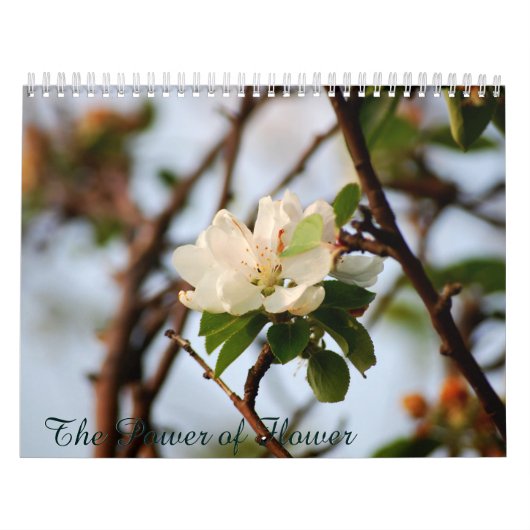De Kracht van Bloemen Kalender (Hoes)