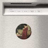 De Kristallen Bol van John William Waterhouse Magneet (Insitu (Vaatwasser))