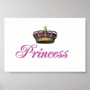 De kroon van de prinses in heet roze poster