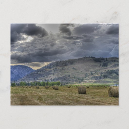 De krop is er. Postkaart van Midway B.C. (Voorkant)