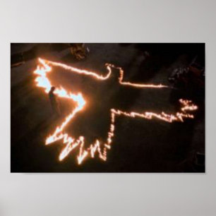 DE KROUW Fire Bird Poster