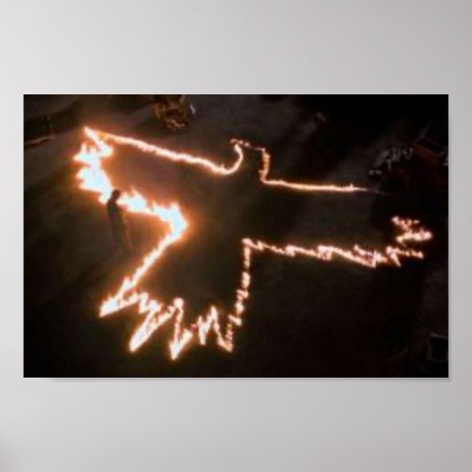 DE KROUW Fire Bird Poster (Voorkant)