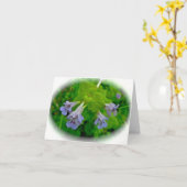 De kruipende Kaart van de Nota van de Hondsdraf (Gele Bloem)