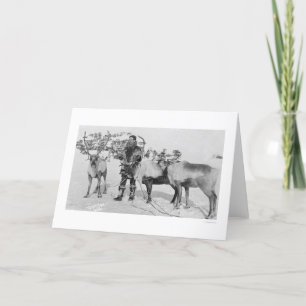 De Kudde Alaska 1909 van het rendier Feestdagen Kaart