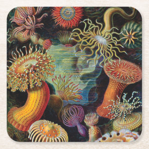 de kunst van de Natuur door Ernst Haeckel Vierkante Kartonnen Onderzetter