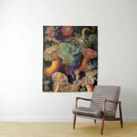 de kunst van de Natuur door Ernst Haeckel